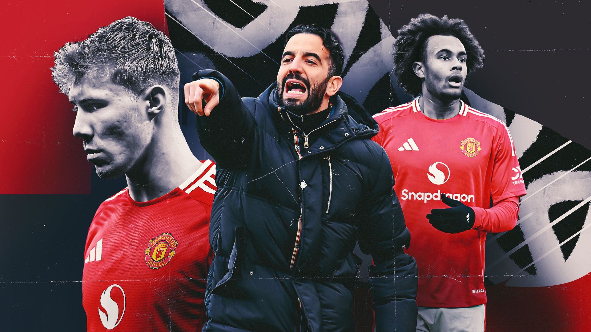 介绍独特的 介绍独特的